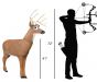 Delta McKenzie Big Daddy Deer X-Ray Series Buck 3D Target - AR Enabled Whitetail Archery Target

