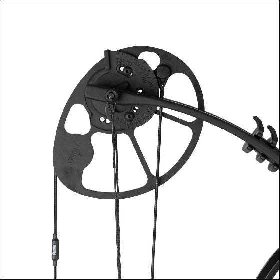 Diamond Edge XT Compound Bow Creed Archery Supply
