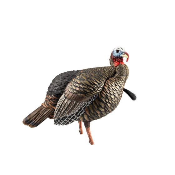 Avian-X HDR Jake Turkey Decoy