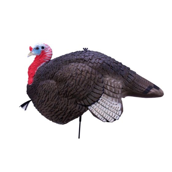 Primos Gobbstopper 1/4 Strut Jake Turkey Decoy