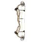 Bear Legend Series Approach HC Compound Bow