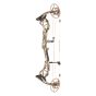 Bear Divergent Compound Bow