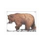 Maple Leaf NFAA Group 1 Animal Targets