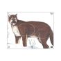 Maple Leaf NFAA Group 2 Animal Targets