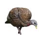 Avian-X LCD Feeder Hen Turkey Decoy