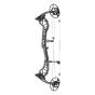 Bear Divergent Compound Bow