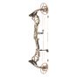 Bear Divergent Compound Bow