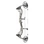 Bear Divergent Compound Bow