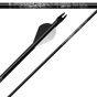 Easton 6MM Hexx Arrows