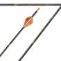 Victory VAP TKO Elite Micro-Diameter Arrows