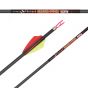 Carbon Express Nano Pro RZ Arrow Shafts with Red Zone Technology and 46-ton carbon for long-distance accuracy and durability.
