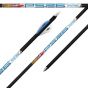 Black Eagle Arrows PS 26