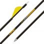 Gold Tip 22 Series Pro Arrow Shafts