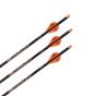 Ravin 20" Lighted Nock .003" Crossbow Bolts for high-performance accuracy and stable flight.
