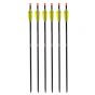 TenPoint Pro Elite Omni-Brite 2.0 Ready Carbon Crossbow Bolts