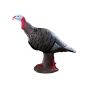 Rinehart Tom Turkey 3D Target