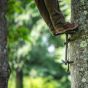 Trophyline Wingman Saddle Platform - Side of Tree
