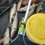 Tactacam Fish-I Fishing/Bowfishing Action Camera