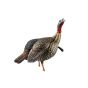 Avian-X HDR Jake Turkey Decoy