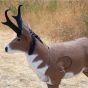 Delta McKenzie Backyard Antelope 3D Archery Target - Realistic Foam Target with Replaceable Core
