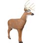Delta McKenzie Big Daddy Deer X-Ray Series Buck 3D Target - AR Enabled Whitetail Archery Target
