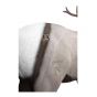 Delta McKenzie X-Ray Series Elk 3D Target with QuivAR Augmented Reality Shot Visualization
