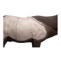 Delta McKenzie X-Ray Series Elk 3D Target with QuivAR Augmented Reality Shot Visualization

