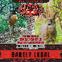 Rack Daddy Minerals - Barely Legal