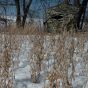 Primos Double Bull SurroundView Max Hunting Blind - 180 Degree Vision Ground Blind with Silent Entry
