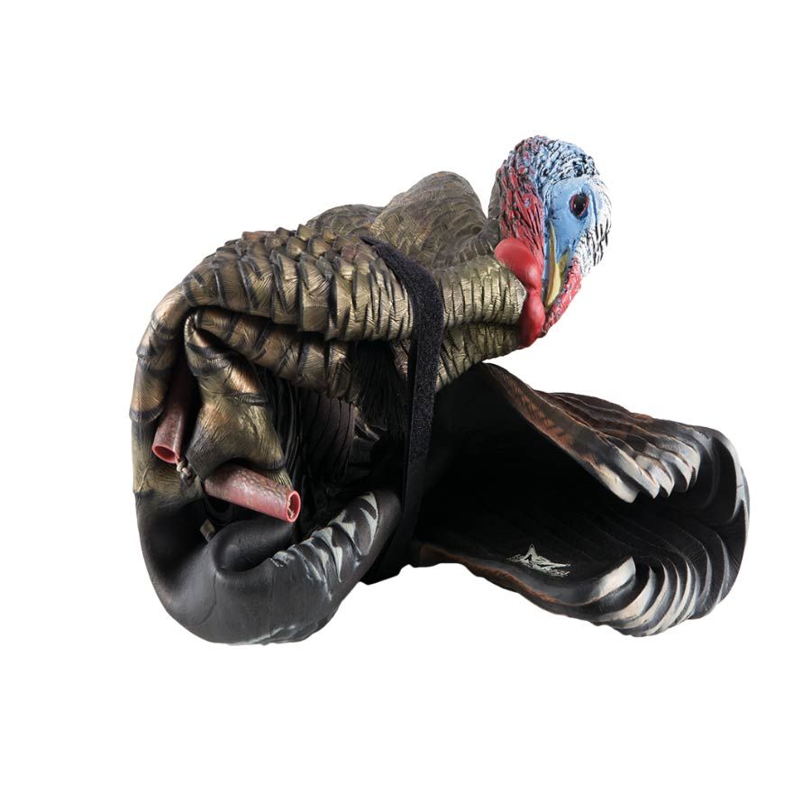 AvianX LCD 1/2 Strut Jake Turkey Decoy Creed Archery Supply