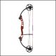 Cajun Sucker Punch Bowfishing Bow