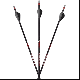 Carbon Express Maxima Sable RZ Carbon Arrows