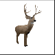 Rinehart Woodland Mule Deer 3D Target