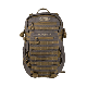 Latitude Ranger 22
