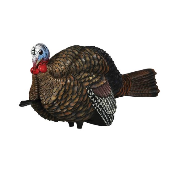 Avian-X LCD 1/2 Strut Jake Turkey Decoy