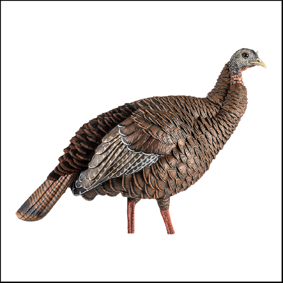 Avian-X HDR Hen Turkey Decoy with interchangeable heads for turkey hunting
