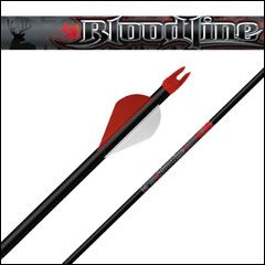 Easton 6MM Bloodline Arrows