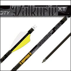 Gold Tip Velocity Valkyrie XT Arrows