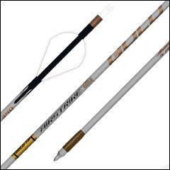 Gold Tip Airstrike Carbon Arrows