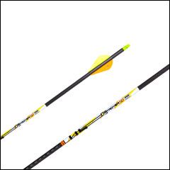 Carbon Express D-Stroyer SD Carbon Arrows