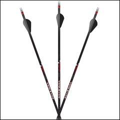 Carbon Express Maxima Sable RZ Carbon Arrows