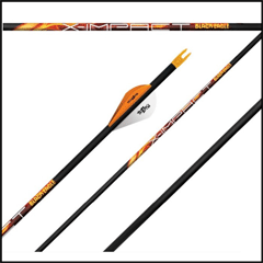 Black Eagle X-Impact Arrows