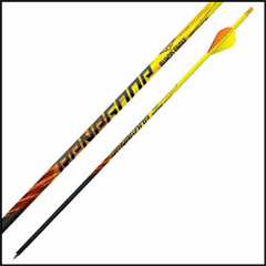 Black Eagle Renegade Arrow