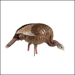 Avian-X HDR Feeding Hen Turkey Decoy