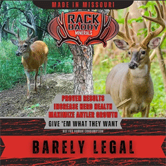 Rack Daddy Minerals - Barely Legal