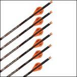 Ravin 20" Match Grade .003" Crossbow Bolts with polymer nocks, brass threaded inserts, and aluminum nock bushings.
