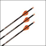 Ravin 20" Lighted Nock .003" Crossbow Bolts for high-performance accuracy and stable flight.
